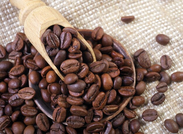 When coffee beans are roasted?